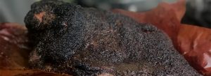 Whiskey Oak Smoke BBQ